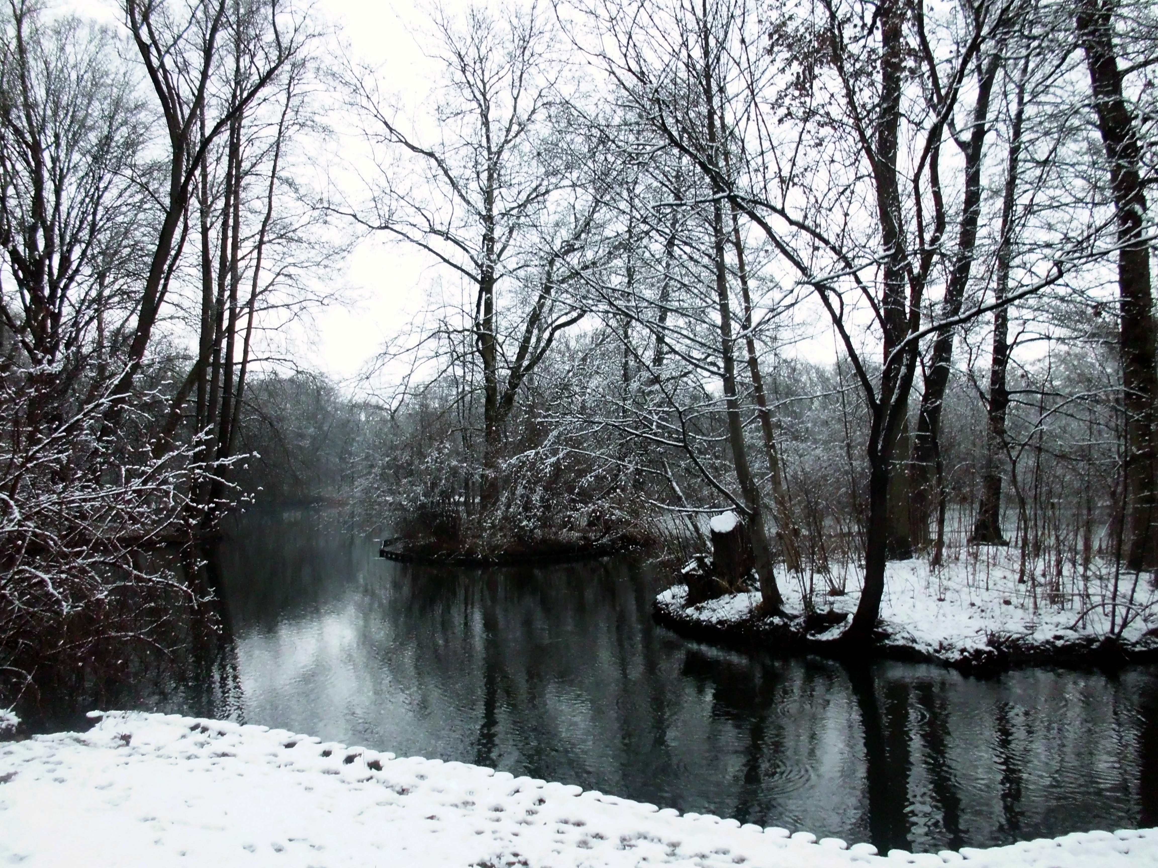 Tiergarten