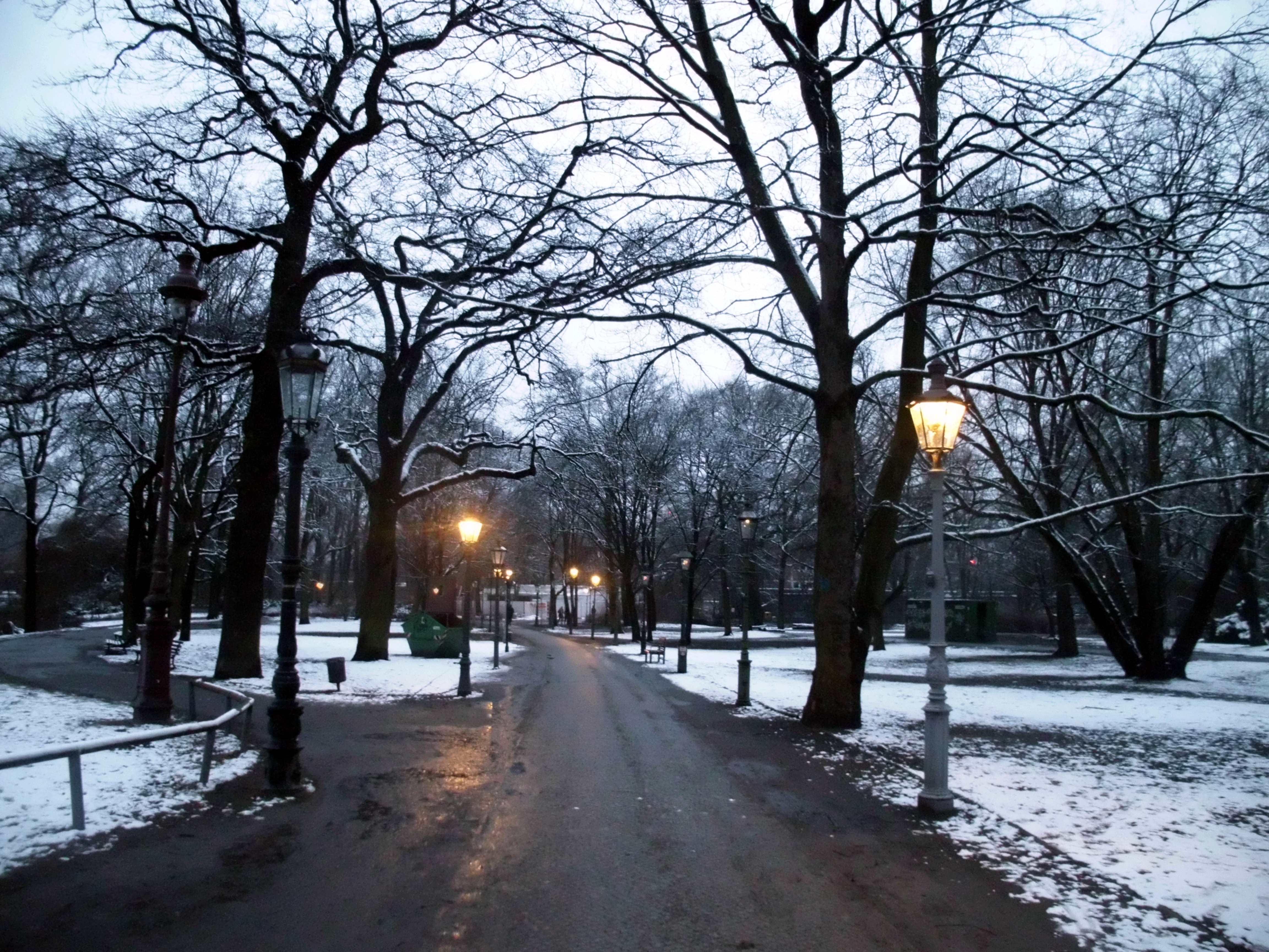 Tiergarten