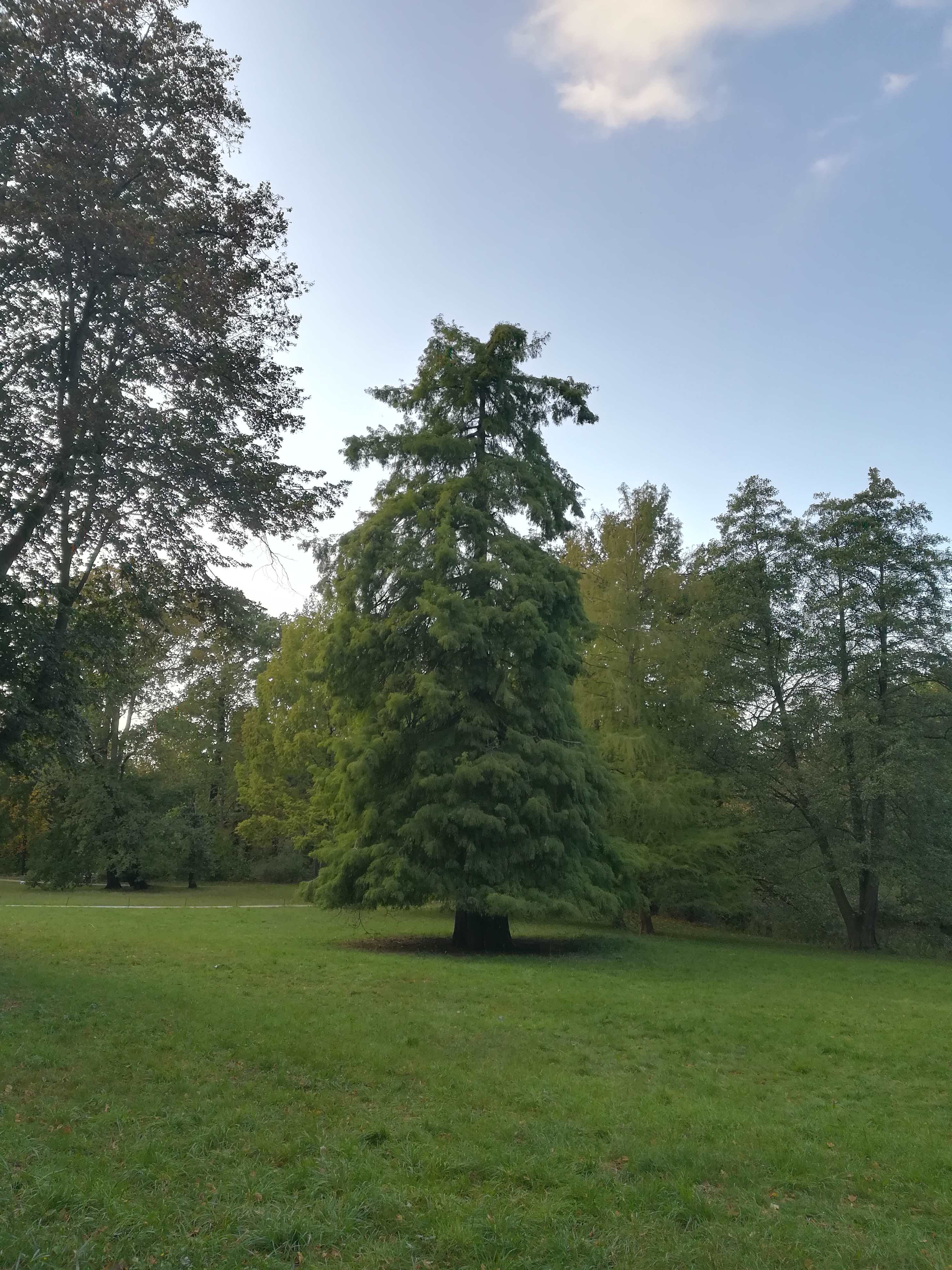 Charlottenburg Palace and Gardens